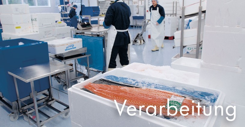 Tagesfrischer Fisch beim FRISCH-FISCH MERCATO